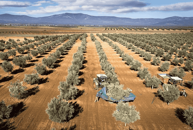 geothermal greenhouse investment